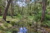 9080 Cunningham Highway, Tregony, Qld 4370-Image