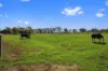 91 Cruse Road, Cooma, Vic 3616-Image