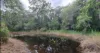 91 Mary Jane Drive, Julatten, Qld 4871-Image