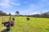 91 Pheasants Road, Wedderburn, NSW 2560-Image