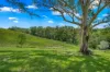912 Wallanbah Road, via, Gloucester, NSW 2422-Image