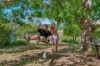 912 Wallanbah Road, via, Gloucester, NSW 2422-Image
