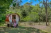 912 Wallanbah Road, via, Gloucester, NSW 2422-Image