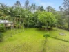 92/265 Martin Rd, Larnook, NSW 2480-Image