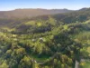 925 Gradys Creek Road, Gradys Creek, NSW 2474-Image