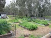 929 East Barham Road, Barham, NSW 2732-Image
