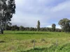 929 East Barham Road, Barham, NSW 2732-Image