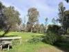 929 East Barham Road, Barham, NSW 2732-Image