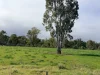 929 East Barham Road, Barham, NSW 2732-Image
