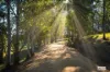 93 Brianderry Road, Buckajo, NSW 2550-Image
