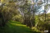93 Brianderry Road, Buckajo, NSW 2550-Image