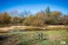 93 Brianderry Road, Buckajo, NSW 2550-Image