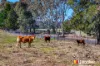 933 Mulgoa Road, Mulgoa, NSW 2745-Image