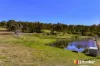 933 Mulgoa Road, Mulgoa, NSW 2745-Image