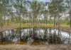 934 Old Esk Road, Taromeo, Qld 4314-Image