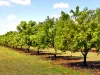 94  Majors Creek Road, Majors Creek, Qld 4816-Image