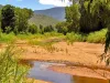 94  Majors Creek Road, Majors Creek, Qld 4816-Image