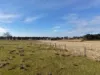 94 Phiddians Lane, Goon Nure, Vic 3875-Image