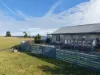94 Phiddians Lane, Goon Nure, Vic 3875-Image