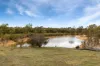 940 Dairy Flat Road, Heathcote South, Vic 3523-Image