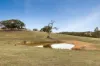 940 Dairy Flat Road, Heathcote South, Vic 3523-Image