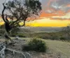 944 Jones Plains Road, Shannons Flat, NSW 2630