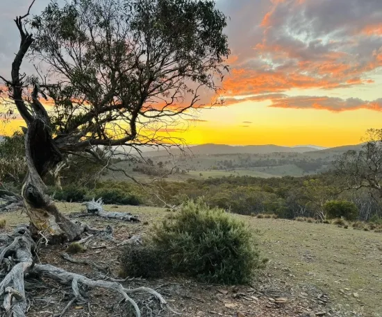 944 Jones Plains Road, Shannons Flat, NSW 2630