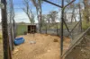 944 Jones Plains Road, Shannons Flat, NSW 2630-Image