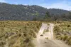 944 Jones Plains Road, Shannons Flat, NSW 2630-Image