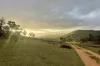 944 Jones Plains Road, Shannons Flat, NSW 2630-Image