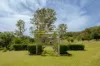 945 Neusa Vale Road, Kin Kin, Qld 4571-Image