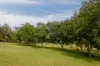 945 Neusa Vale Road, Kin Kin, Qld 4571-Image