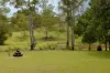 945 Neusa Vale Road, Kin Kin, Qld 4571-Image
