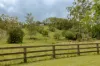 945 Neusa Vale Road, Kin Kin, Qld 4571-Image