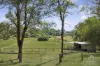 95-103 COOLIBAH ROAD, Jimboomba, Qld 4280-Image
