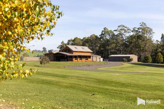 95 Back Road, Lower Wilmot, Tas 7310