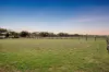 95 Dry Plains Road, Strathalbyn, SA 5255-Image