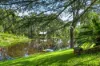 96 Church Lane,, Cranebrook, NSW 2749-Image