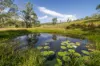 97 Bulby Close, Wang Wauk, NSW 2423-Image