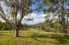 97 Bulby Close, Wang Wauk, NSW 2423-Image