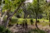 97 Bulby Close, Wang Wauk, NSW 2423-Image