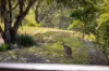 97 Bulby Close, Wang Wauk, NSW 2423-Image