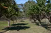 97 McCarthy Drive, Heathcote, Vic 3523-Image