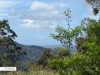 978 Tomewin Road, Tomewin, NSW 2484-Image