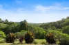 98 Blacks Road, Willow Vale, Qld 4209-Image