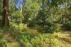 98 Fuerte Drive, Valla, NSW 2448-Image