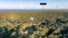 98 Kildeys Road, Cootharaba, Qld 4565-Image