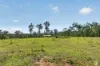 99 Drapers Road West, Wanora, Qld 4306-Image