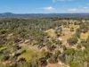 99 Drapers Road West, Wanora, Qld 4306-Image