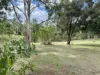 99 King Road, Maidenwell, Qld 4615-Image